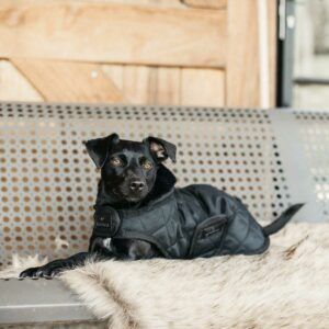 Kentucky dogwear hundtäcke original svart