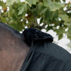 Kentucky Horsewear BIB mankskydd svart